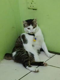 Karinzi Siska profile icon