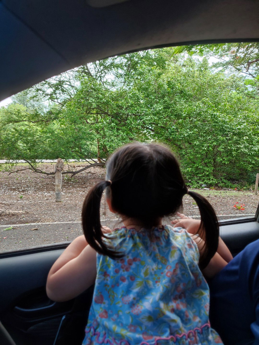 hassaya profile icon