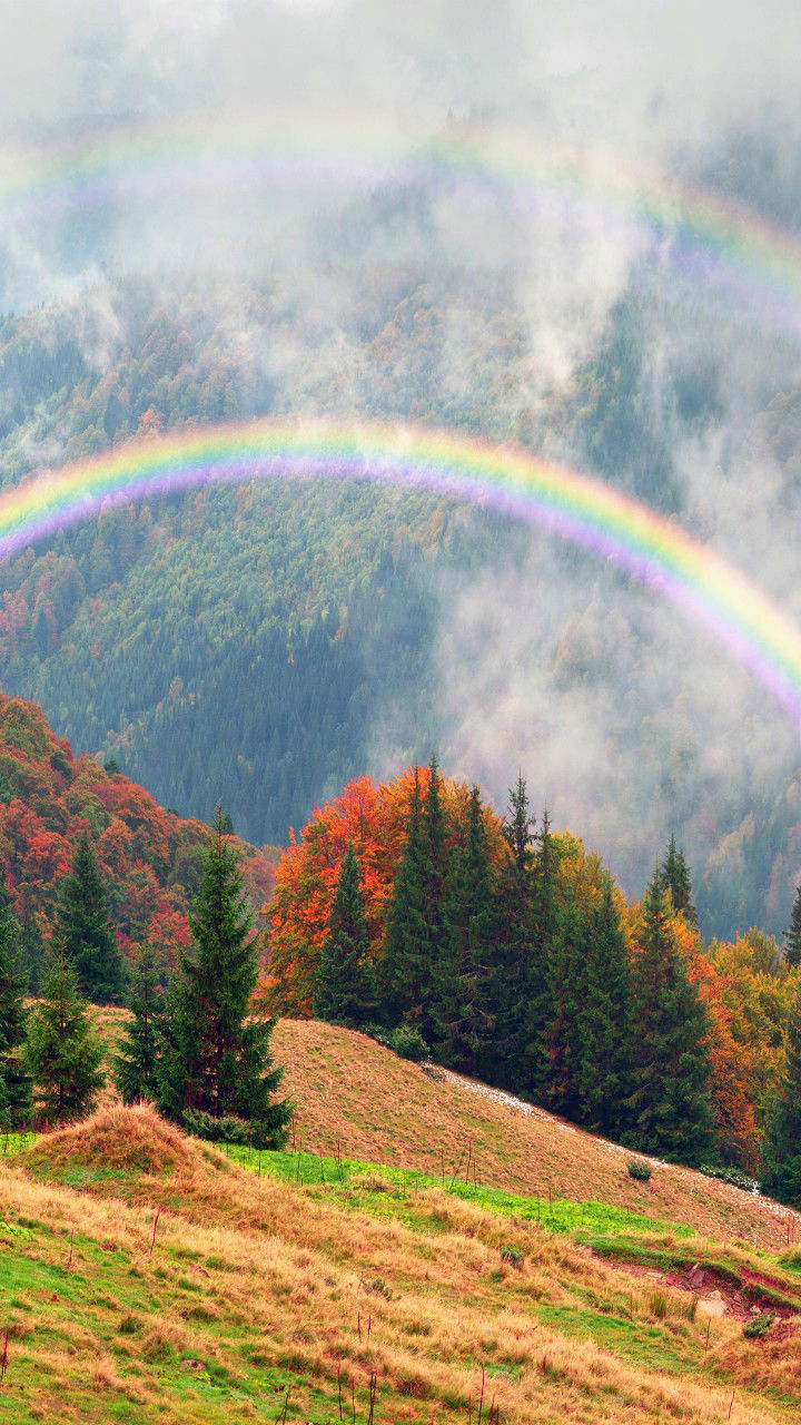 F. Fauziah profile icon