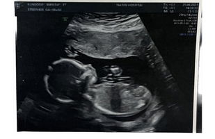 โมนา profile icon