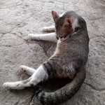 กำลังจะเป็นแม่ profile icon