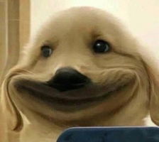 เอริน profile icon