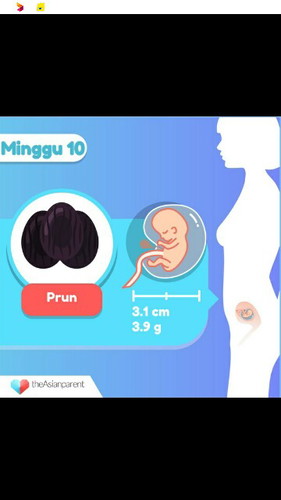 10Minggu Already