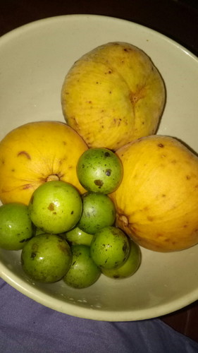 Asam