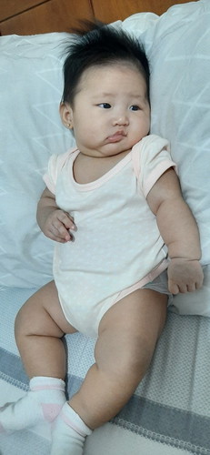 chubby baby