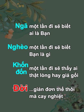 Hồng Hiếu profile icon