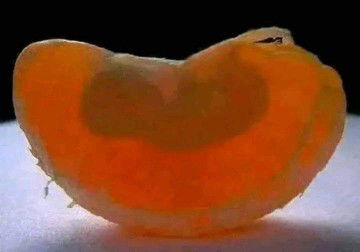 สมศรี ทศกรรณ์ profile icon