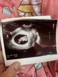 ณัฐมน นิ่มละออ profile icon