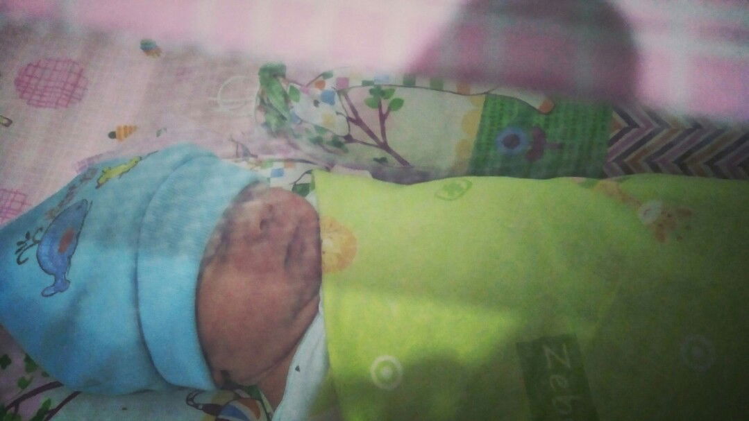 lahir maju tanggal Hpl