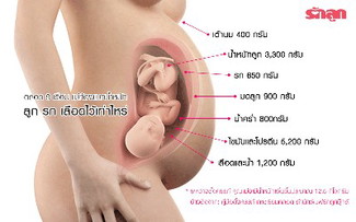 ส่องท้องแม่! น้ำหนักครรภ์ 12-15 กิโลกรัมที่แม่แบกตลอด 9 เดือนเป็นน้ำหนักของอะไรบ้าง