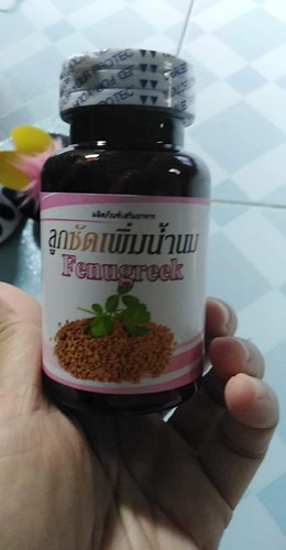 ยาเพิ่มน้ำนม