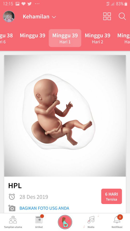 HPL 28 DESEMBER 2019