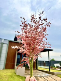 Fara profile icon