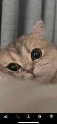 mummy cantik profile icon