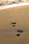 Windi Yustima profile icon