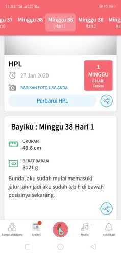 hamil