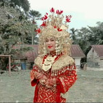 Nopita Sary profile icon