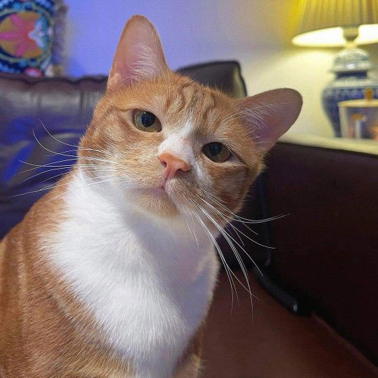 นภเกตน์ ชัยมาตร profile icon