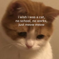 blueblue profile icon