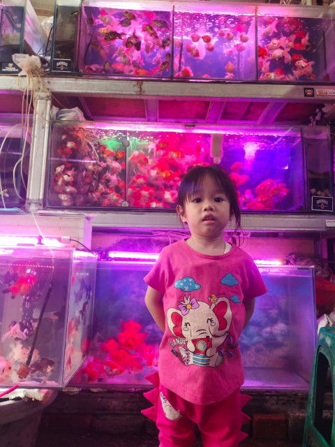 Yuhelni Helni profile icon