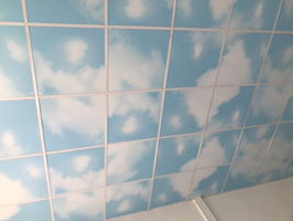 waranya profile icon