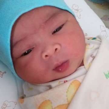 dedek bayi