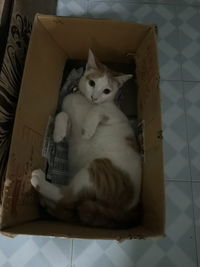 นันทิกานต์ profile icon