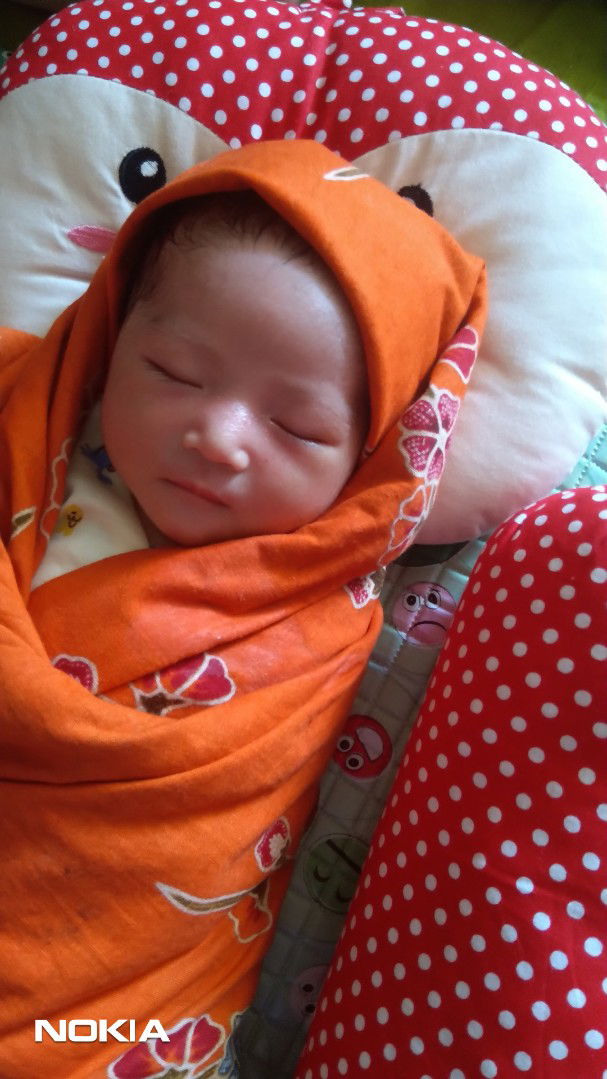 hpl pas dgn kelahiran 17 nov