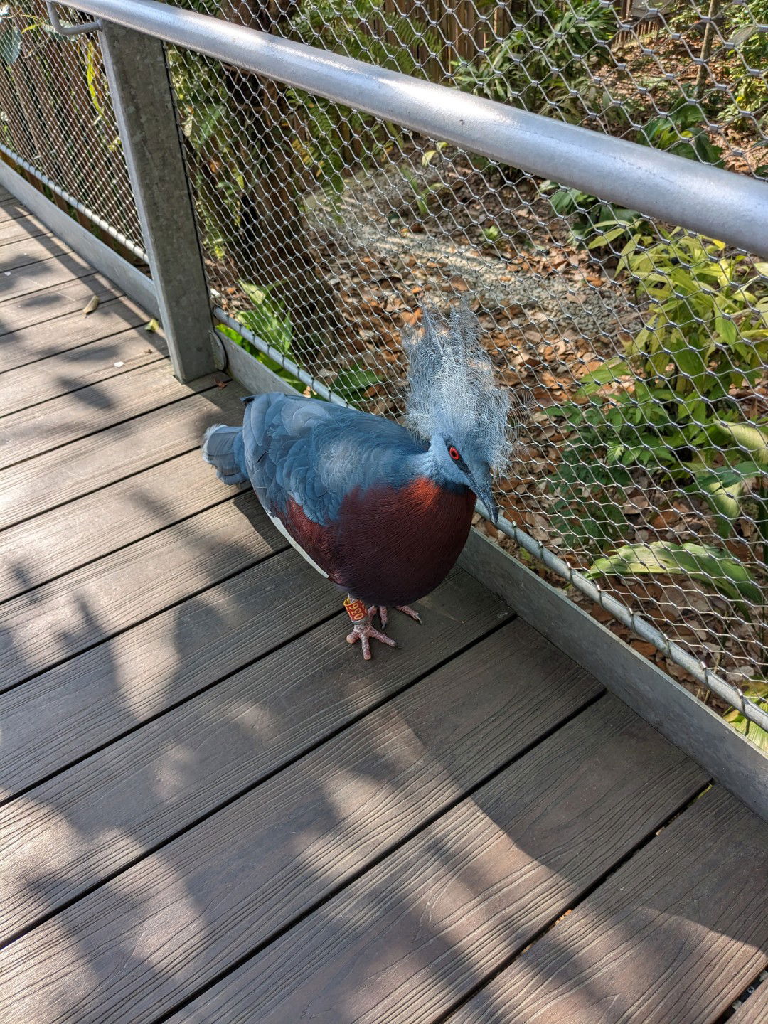 Kashvinder  profile icon