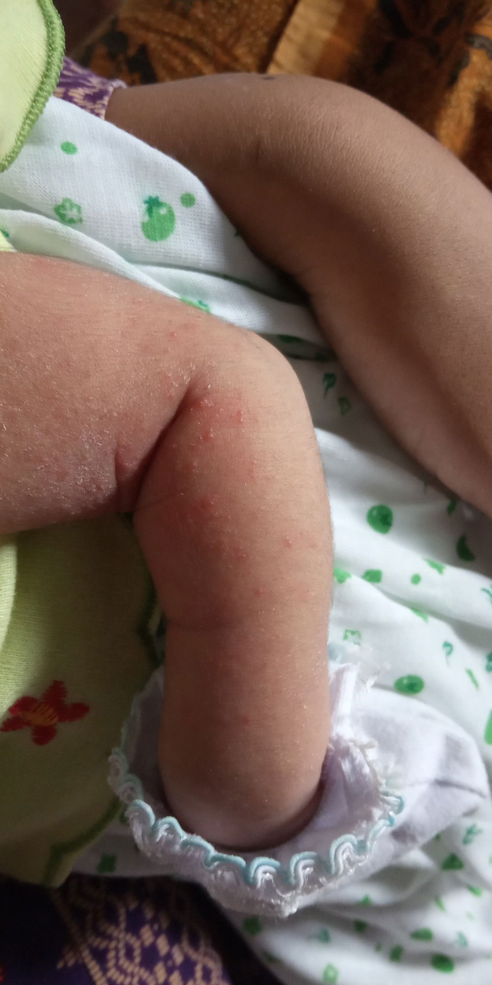 berikan tanggapan anda