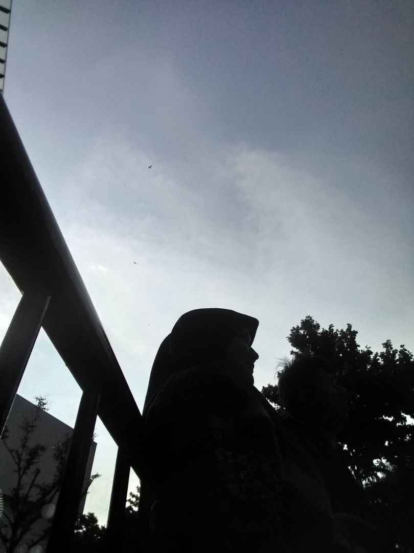 mama amy_shauma profile icon