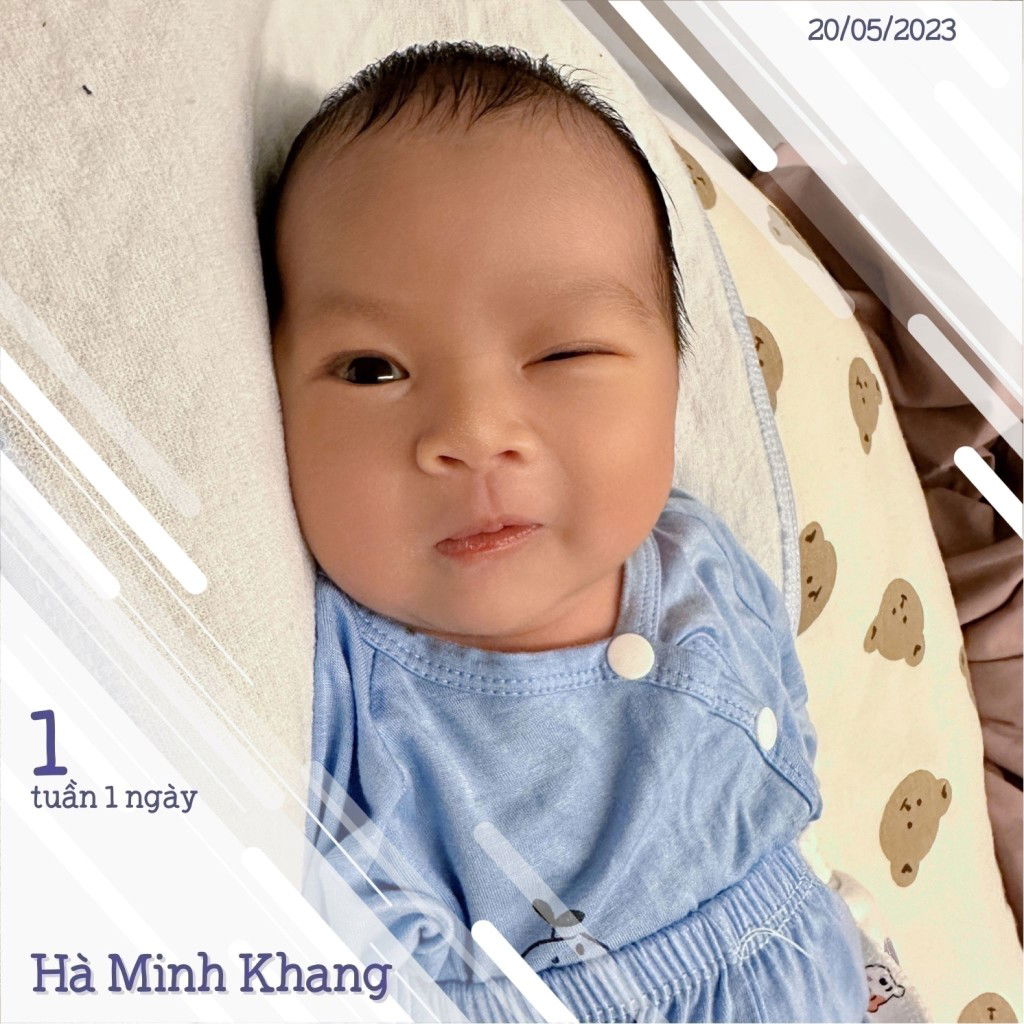 Vân Anh profile icon