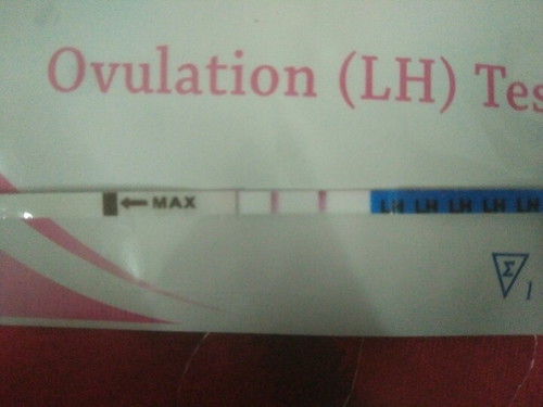 opk