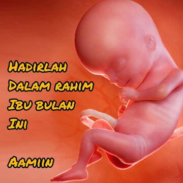 Hazlina profile icon