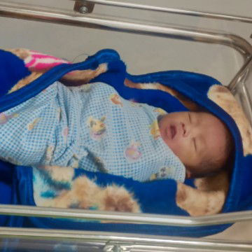 Hpl 24 February 2024