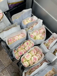 Little Princess profile icon