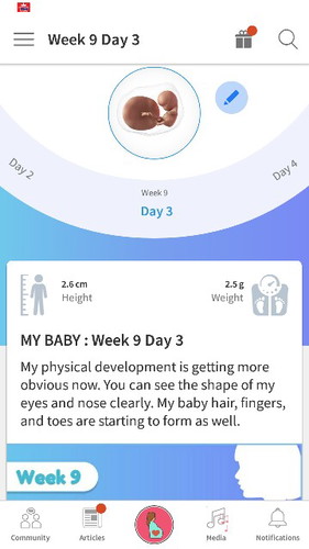 Baby weeks