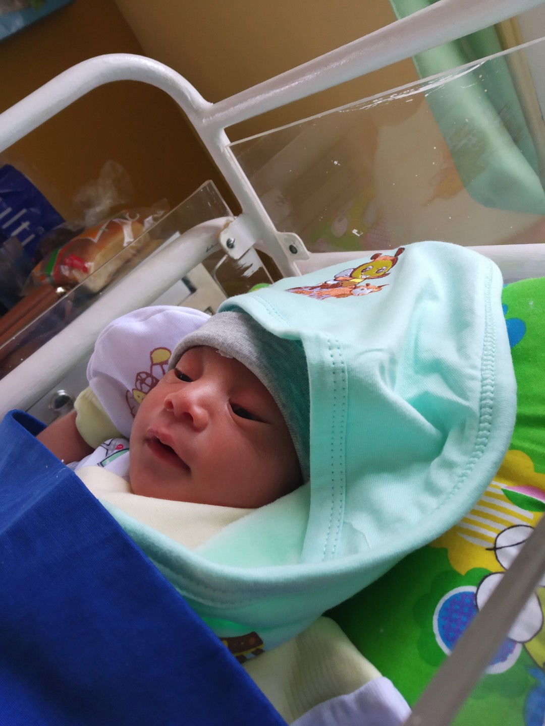 Baby F Sudah Launching 