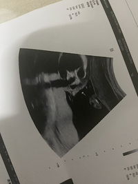 Juthamas profile icon