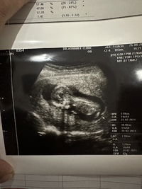 Nurita phensawat profile icon