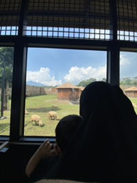 Ummu Musa profile icon