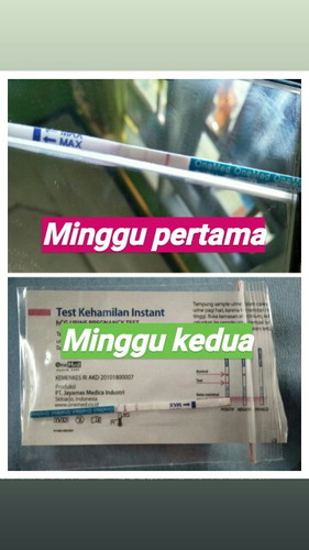 hamil yang kedua