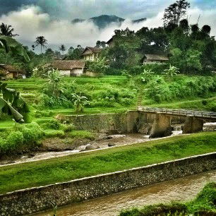 Ny.Dany profile icon