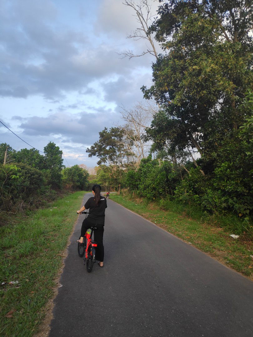 sella artan profile icon