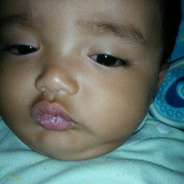 seputar bayi
