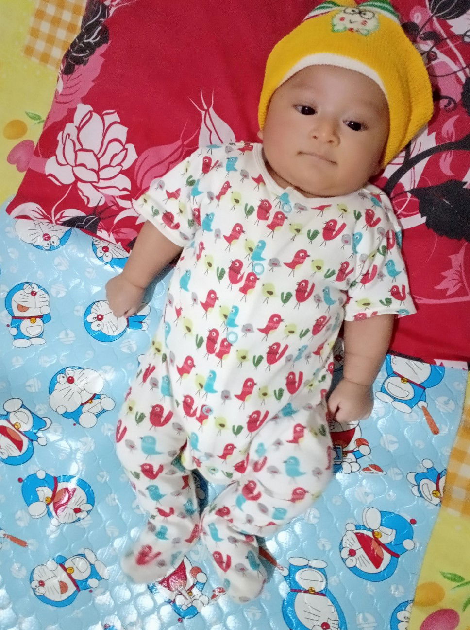 puasa boleh nggak yaa??