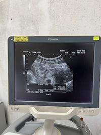 Ciyaa Cayenn profile icon