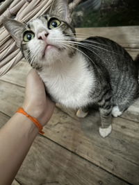 moments profile icon