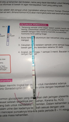 Saat Hamil Buah Hati