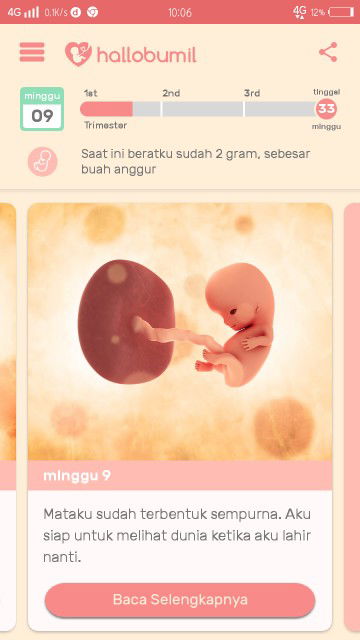 bingung usia kandungan